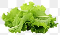 PNG Fresh green salad leaves vegetable lettuce plant. AI generated Image by rawpixel.
