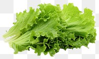PNG  Freshness green oak lettuce leaves vegetable plant food. AI generated Image by rawpixel.