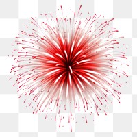 PNG Firework fireworks white background celebration. AI generated Image by rawpixel.