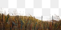 PNG Landscape sunset beach outdoors. AI generated Image by rawpixel.
