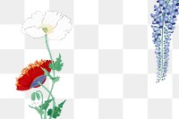 PNG Japanese flowers border, transparent background