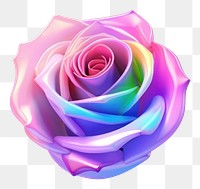 PNG  Flower petal plant rose. AI generated Image by rawpixel.
