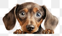 PNG Dachshund mammal animal hound. AI generated Image by rawpixel.