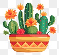 PNG Cactus plant houseplant decoration. 