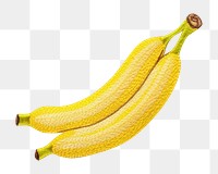 PNG Banana plant food freshness. AI generated Image by rawpixel.