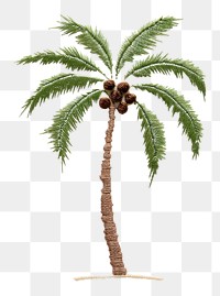PNG Tree plant arecaceae drawing. AI generated Image by rawpixel.