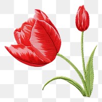PNG Tulip embroidery flower petal. AI generated Image by rawpixel.