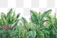 PNG  Banana leaf plant backgrounds outdoors. AI generated Image by rawpixel.