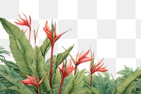 PNG  Moth flower plant backgrounds. AI generated Image by rawpixel.