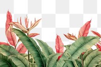 PNG  Banana leaf flower plant backgrounds. AI generated Image by rawpixel.