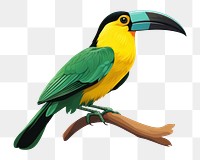 PNG Emerald Toucanet toucan bird beak. 