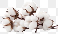 PNG  Cotton flowers 3 slice nature white white background. AI generated Image by rawpixel.