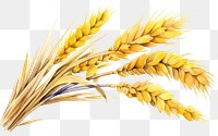 PNG  Wheat plant food white background. AI generated Image by rawpixel.