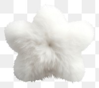 PNG Star shape fur mammal white. AI generated Image by rawpixel.