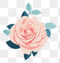 PNG  Blossom flower plant rose. AI generated Image by rawpixel.