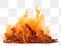 PNG  Fire bonfire white background destruction. AI generated Image by rawpixel.