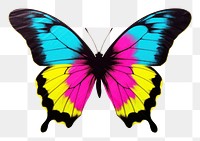 PNG Butterfly insect animal  