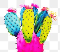 PNG Cactus plant white background creativity. 