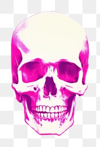 PNG Skull white background anthropology creativity. 