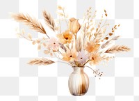 PNG Dried flower in vase plant white background celebration. 