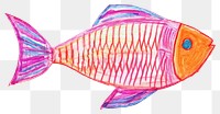 PNG  Fish drawing animal white background. AI generated Image by rawpixel.