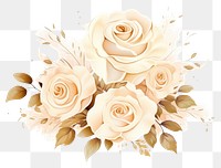 PNG Ivory roses flower plant white background. 