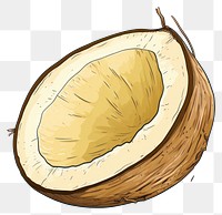 PNG Coconut plant food freshness. AI generated Image by rawpixel.