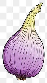 PNG Shallot vegetable onion food. AI generated Image by rawpixel.