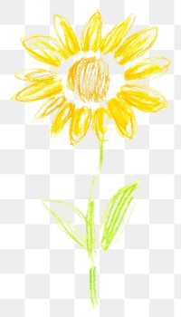 PNG  Sunflower drawing petal plant. AI generated Image by rawpixel.