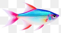 PNG Neon tetra animal fish  