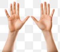 PNG Two open hands finger white background gesturing. 