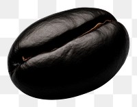 PNG  Coffee bean coffee black white background. AI generated Image by rawpixel.