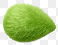 PNG Leaf fur green white background. AI generated Image by rawpixel.
