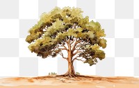 PNG Tree sketch drawing plant. AI generated Image by rawpixel.