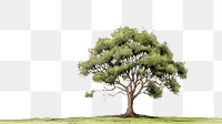 PNG Tree sketch drawing plant. AI generated Image by rawpixel.