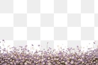 PNG Flower purple backgrounds outdoors