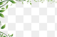 PNG Leaf pattern plant green. AI generated Image by rawpixel.
