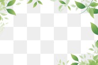 PNG Leaf pattern plant green. AI generated Image by rawpixel.