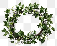 PNG  Wreath plant holly leaf. AI generated Image by rawpixel.
