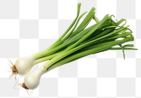 PNG  Japanese Scallion vegetable plant food. AI generated Image by rawpixel.
