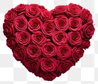 PNG  Rose In Love Shape rose flower shape