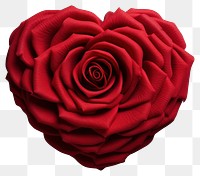 PNG  Rose In Love Shape rose flower shape. 