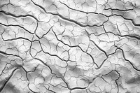 PNG Mud texture mud soil backgrounds. 