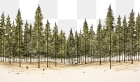 PNG Pine forest landscape outdoors woodland. AI generated Image by rawpixel.