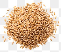 PNG Farro hulled wheat food seed  