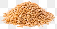 PNG  Farro hulled wheat food seed white background. 