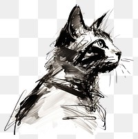 PNG Contour drawing art of cat animal sketch illustrated. AI generated Image by rawpixel.