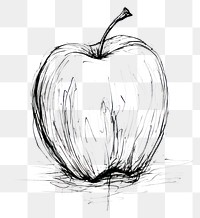 PNG Apple drawing apple sketch. AI generated Image by rawpixel.