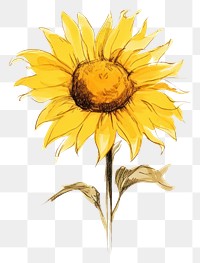 PNG Sunflower sunflower drawing plant. AI generated Image by rawpixel.