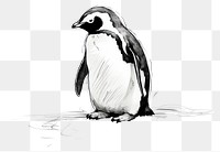 PNG Penguin penguin drawing animal. AI generated Image by rawpixel.
